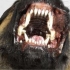 DogChaser Hondenalarm (Dog Chaser) ultrasonisch hondenafweermiddel  DOGCHASER